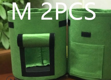 green2pcs